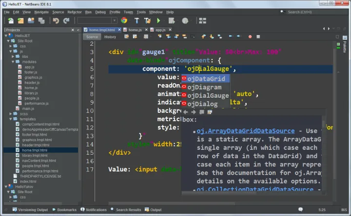 Captura NetBeans IDE