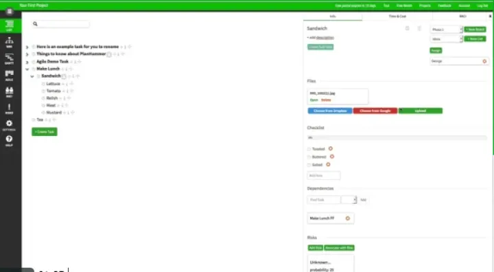 Captura PlanHammer Gantt