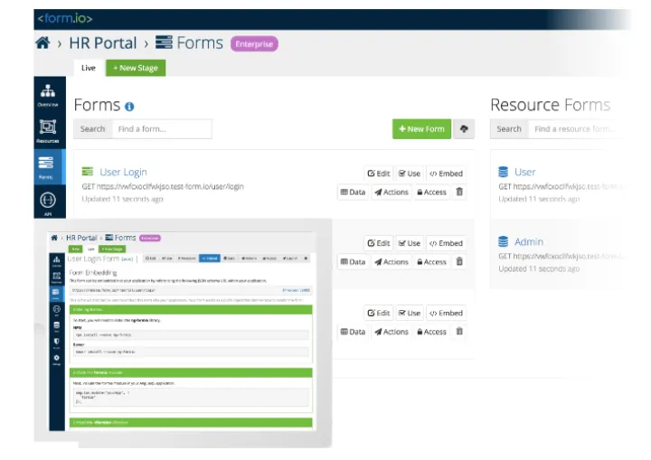 Captura Form.io