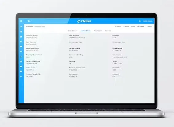 Intelisis CRM