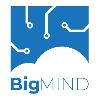 BigMIND