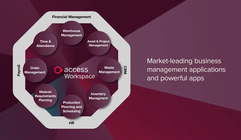Access ERP