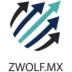 Zwolf.mx