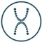 XDental