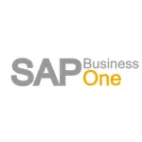 SAP Business One Paraguay