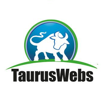 TaurusWebs Paraguay