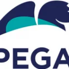 Pega Platform Paraguay