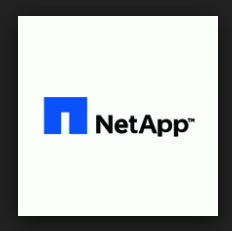 NetApp Backup Backup Paraguay