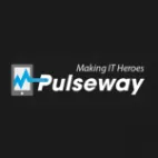 Pulseway Paraguay