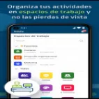Temis Paraguay