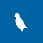 Clearview InFocus logotipo