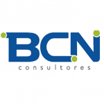 BCN Consultores 0